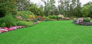 landscaping business for sale