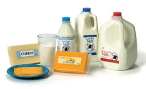dairy wholesale route